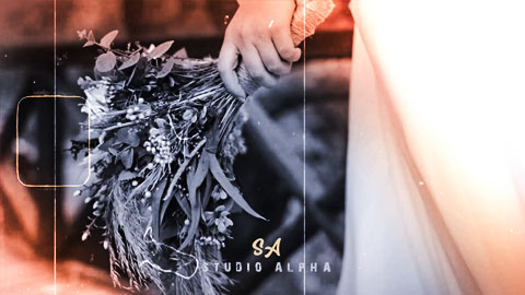 پروژه فرمالیته باغ سرمجلسی ادیوس 4378